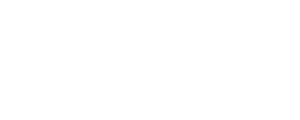 auroch-corporate-blanc-300x120